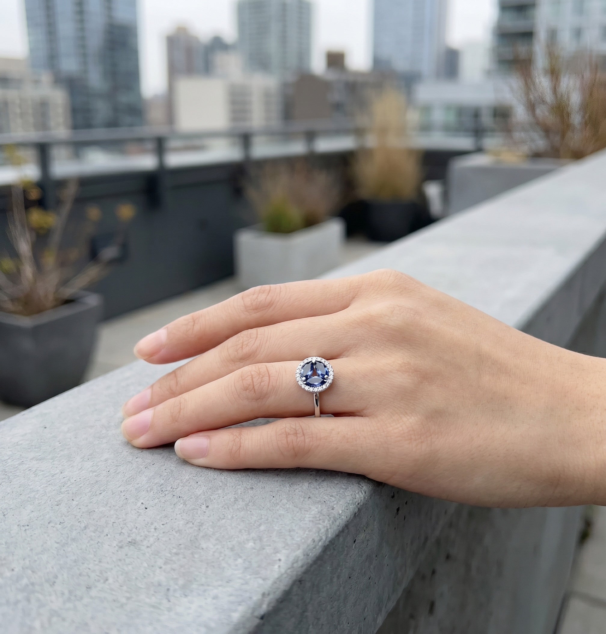 The Sapphire & Diamond Circle